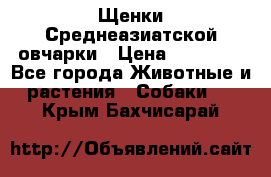 Щенки Среднеазиатской овчарки › Цена ­ 30 000 - Все города Животные и растения » Собаки   . Крым,Бахчисарай